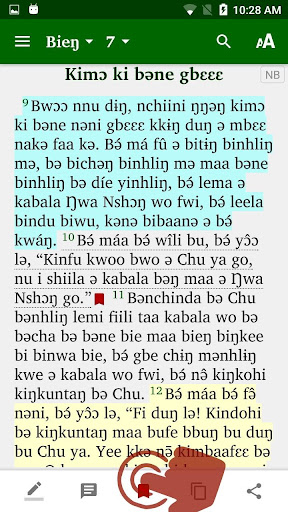 Naami Bible Screen 3