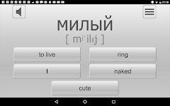 screenshot of Learn most used Russian words