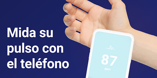 Vista previa de la aplicación
