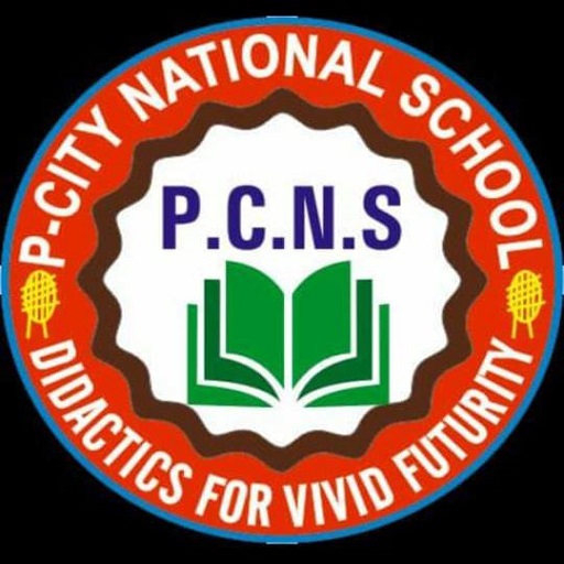 P.CITY NATIONAL SCHOOL logo