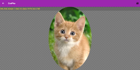 Cropho Photo Editor poster 15