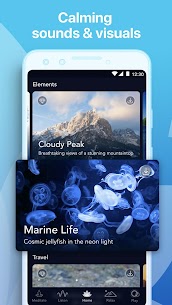 Music Zen - Ontspannende geluiden MOD APK (Premium ontgrendeld) 2