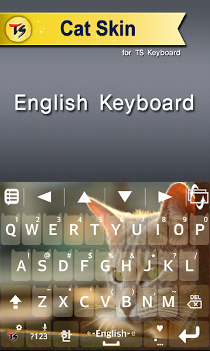 Cat Skin for TS Keyboard Screen 2