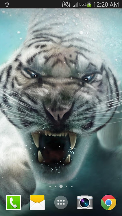 Tiger Live Wallpaper - 1.0.4 - (Android)