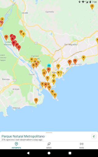Screenshot of GoBird - Guide to Nearby Birds