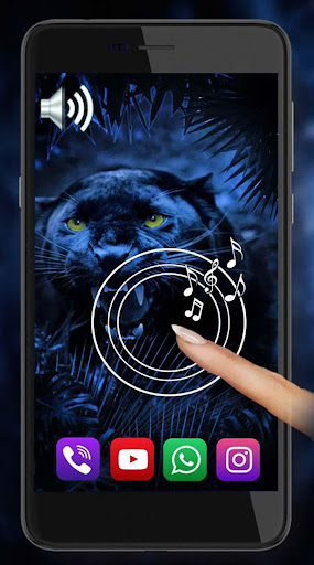 Panther Dark Sounds Live Wallpaper