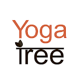 Yoga Tree - Baltimore icon