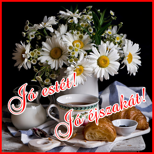 Jó estét Jó éjszakát