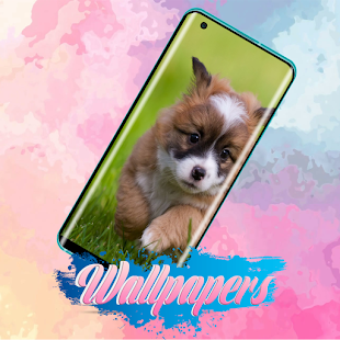 Puppy Wallpaper Images 2.1.0 APK + Mod (Free purchase) for Android