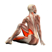 Top 28 Medical Apps Like Yoga Anatomy Guide - Best Alternatives