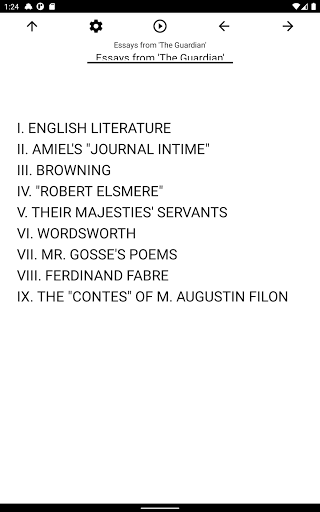 Book, Essays from The Guardia Screen 3