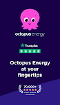 screenshot of Octopus Energy