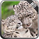 Big Cats Pack 3 Wallpaper icon