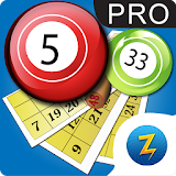 Pocket Bingo Pro icon