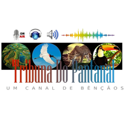 Rádio Tribuna do Pantanal logo