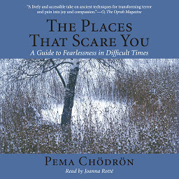 Icon image The Places That Scare You: A Guide to Fearlessness in Difficult Times