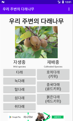 Android application 우리 주변의 다래나무 screenshort
