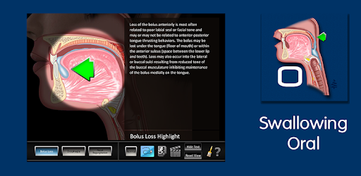 Swallowing Oral
