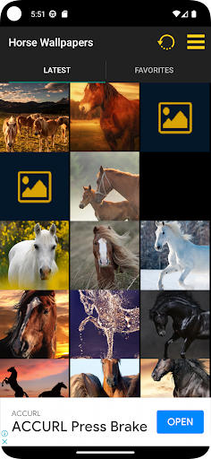 Horse Wallpaper Screen 2