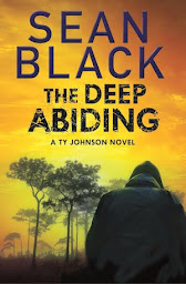 Icon image The Deep Abiding: A Ryan Lock & Ty Johnson Crime Thriller