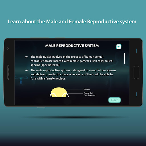 Reproduction in Humans