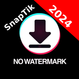 SnapTik download Video no Logo