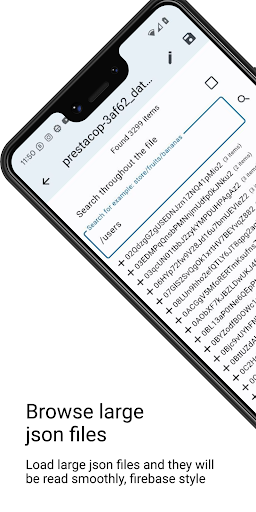 Explorer big Json & Sqlite db Screen 2