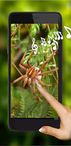 Spiders Danger 1.2 APK + Mod (Free purchase) for Android