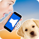 Translating Dog (simulator) icon