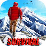 Winter Survivor 3D icon