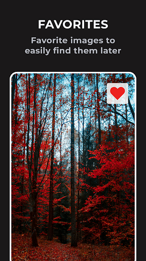 Fast Photo Gallery Pro: F-Stop - Photography - apps