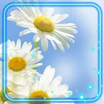 Cover Image of Télécharger Daisy Wallpaper  APK