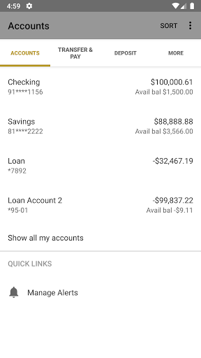 First Community Bank MN Screen 3