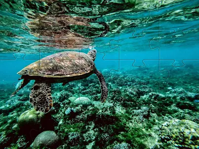 Underwater jigsaw puzzles game