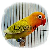 Masteran Lovebird Offline icon