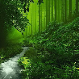 「Forest Wallpapers」のアイコン画像