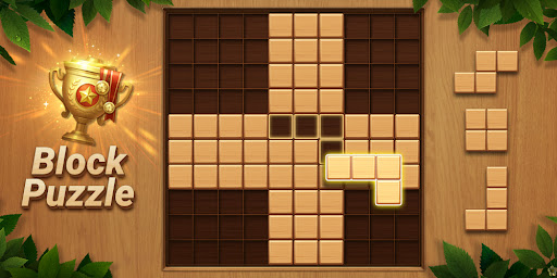 Wood Block Puzzle – Brain Game Gallery 6