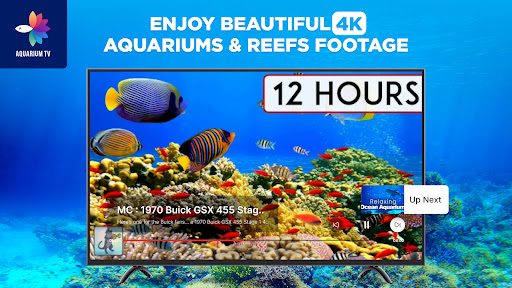 Aquariums TV screenshot 12