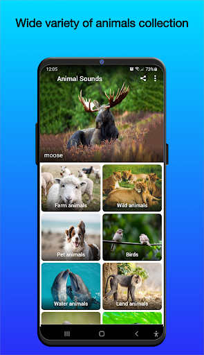 Screenshot of Animal Sounds
