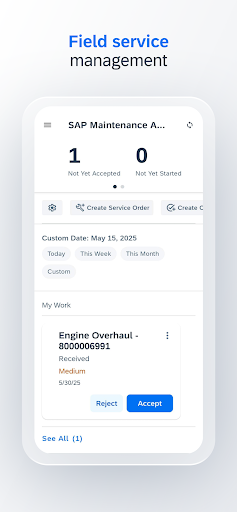 Screenshot of SAP Maintenance Assistant