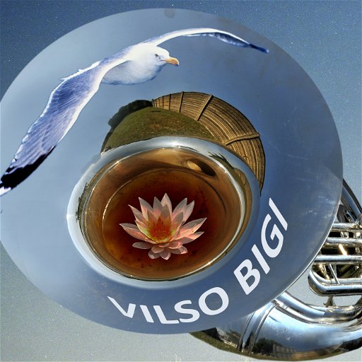Vilso Bigi logo