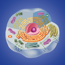 Imagen de icono Biología celular