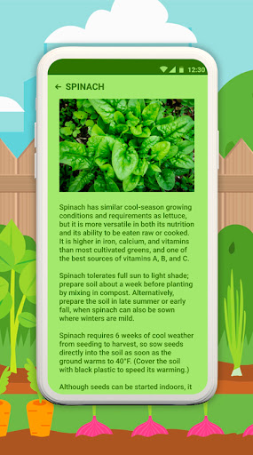 Vegetable Crops Screen 3