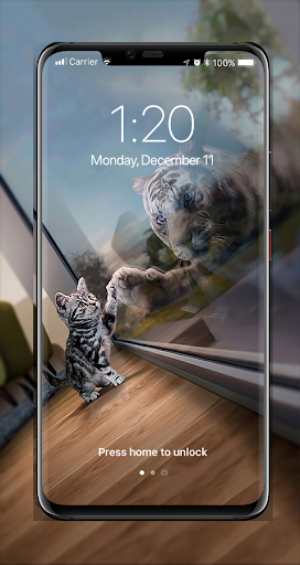 Cat Mirror Tiger Wallpapers