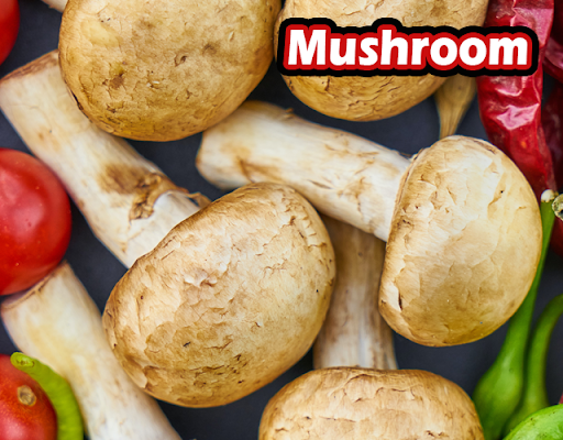 Mushroom Recipes