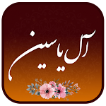 Cover Image of 下载 زیارت آل یاسین صوتی علی فانی 1.0Google APK