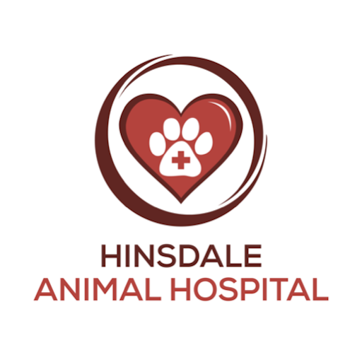 hinsdale animal hospital reviews - Ilustrasi 3