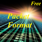 Free network packet format icon