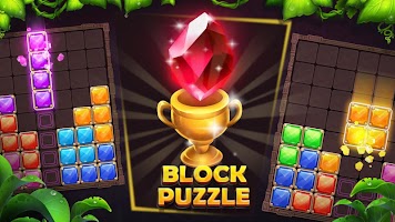 Block Puzzle 2020: Relax Game