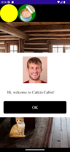 The CatSitter Screen 2